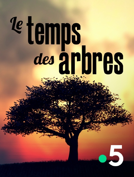 France 5 - Le temps des arbres
