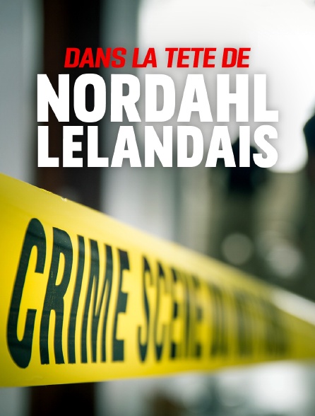 Dans la tête de Nordahl Lelandais