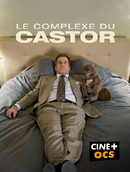 CINÉ Cinéma - Le complexe du castor