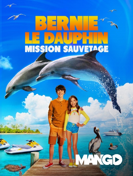 Mango - Bernie Le Dauphin : Mission Sauvetage