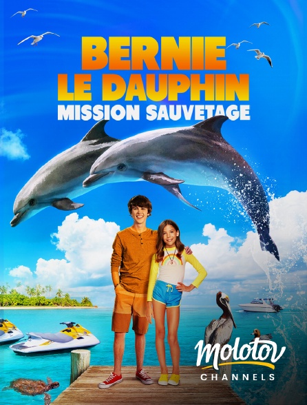 Mango - Bernie Le Dauphin : Mission Sauvetage
