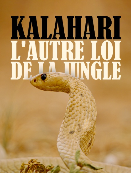 Kalahari, l'autre loi de la jungle