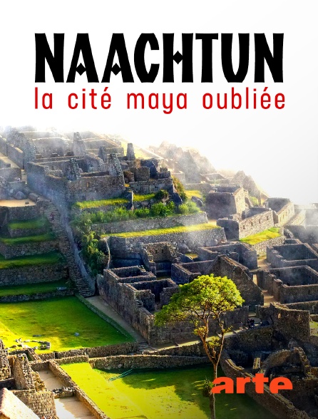 Arte - Naachtun : La cité maya oubliée