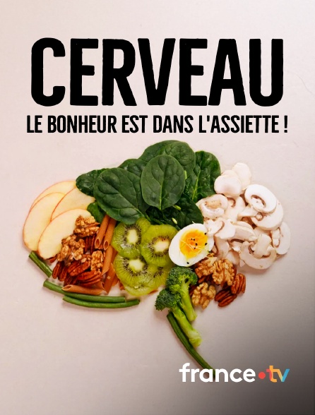 france.tv - Cerveau, le bonheur est dans l'assiette ! en replay