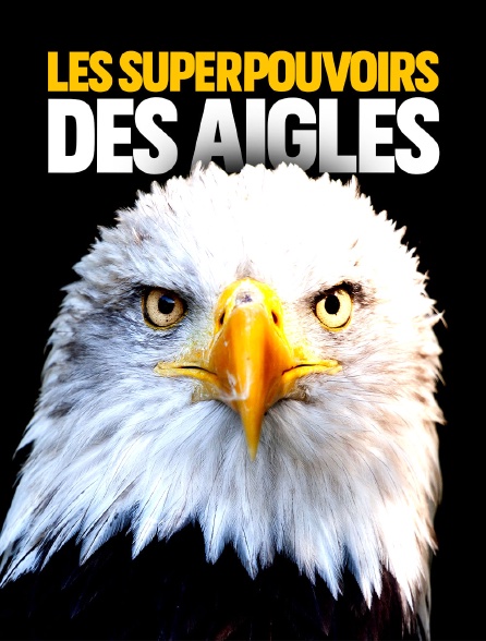 Les superpouvoirs des aigles