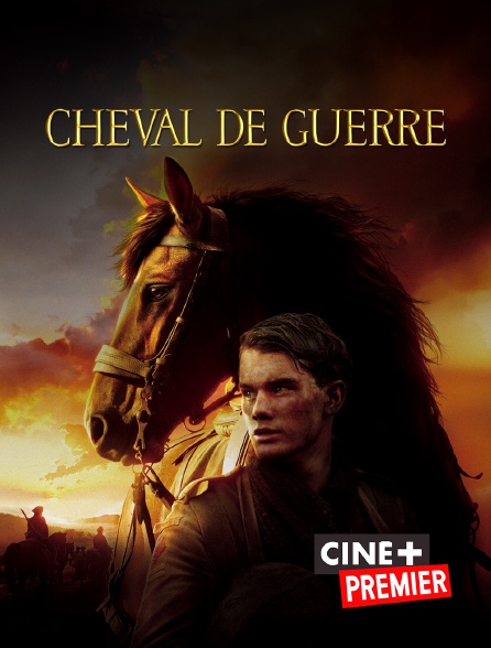 Film Cheval De Guerre Streaming Cheval de guerre en Streaming sur Ciné+ Premier - Molotov.tv