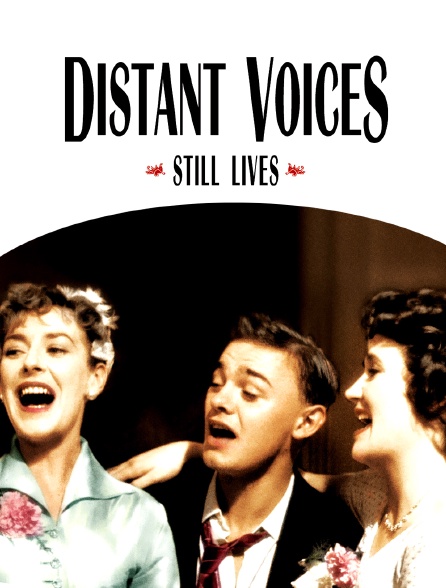 Distant Voices, Still Lives