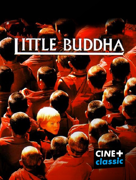 CINE+ Classic - Little Buddha