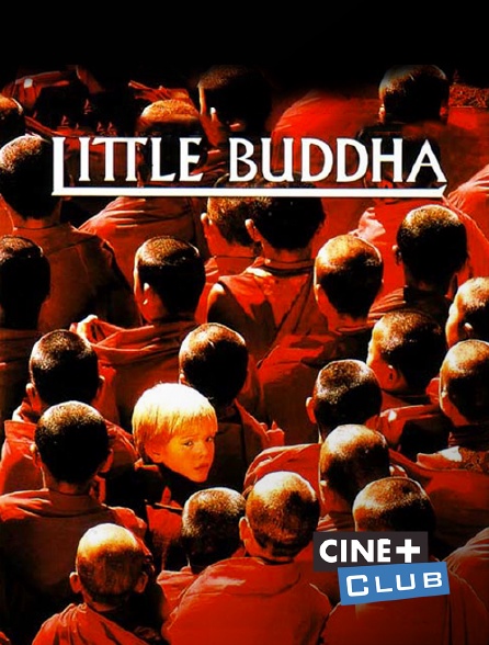 Ciné+ Club - Little Buddha