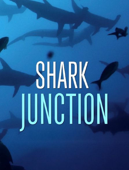 Shark junction