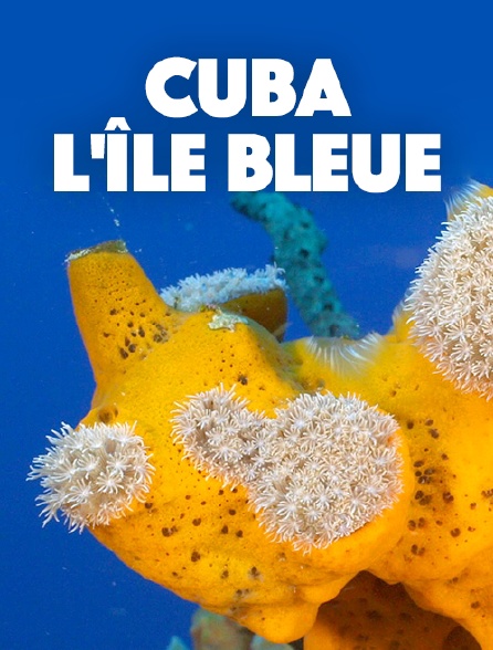 Cuba, l'île bleue