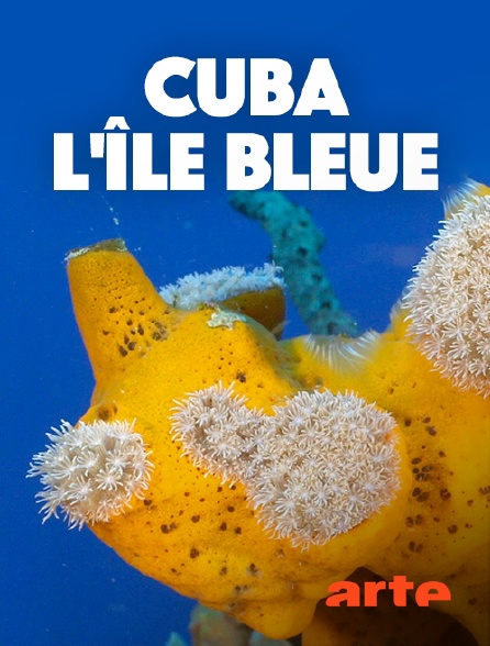 Arte - Cuba, l'île bleue