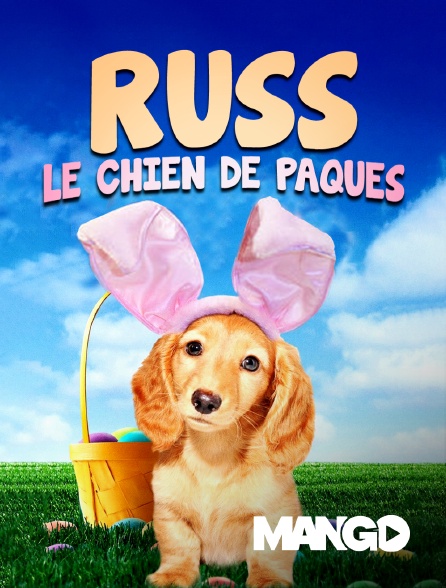 Mango - Russ, le chien de Pâques