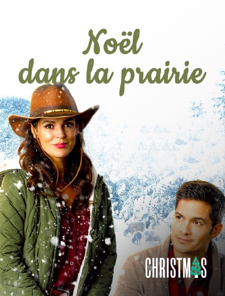 CHRISTMAS by Molotov - Noël dans la prairie