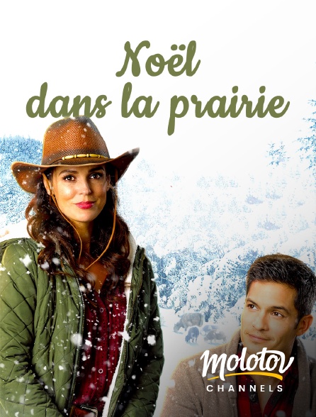 Molotov Channels - Noël dans la prairie