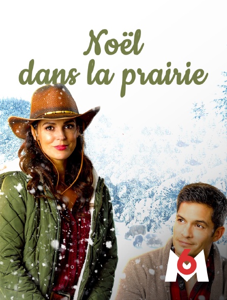 M6 - Noël dans les prairies