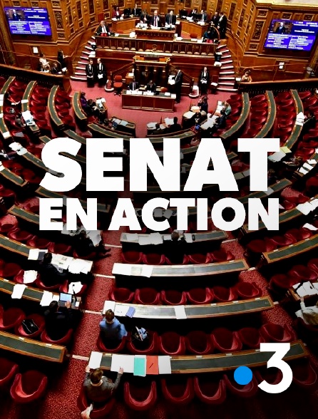 France 3 - Sénat en action