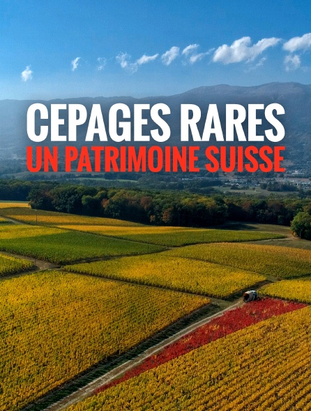 Cépages rares : un patrimoine suisse