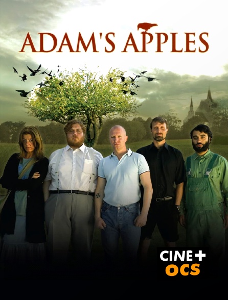 CINÉ Cinéma - Adam's Apples