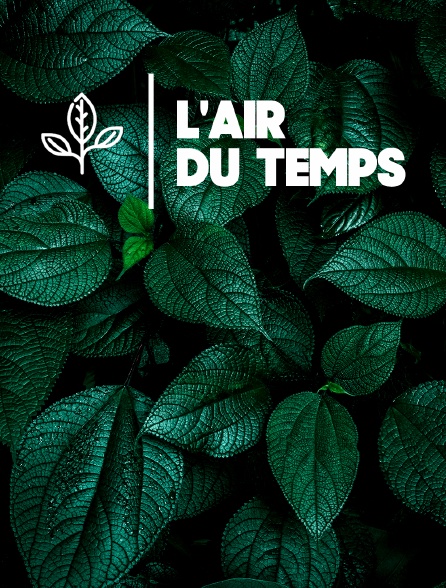 L'air du temps