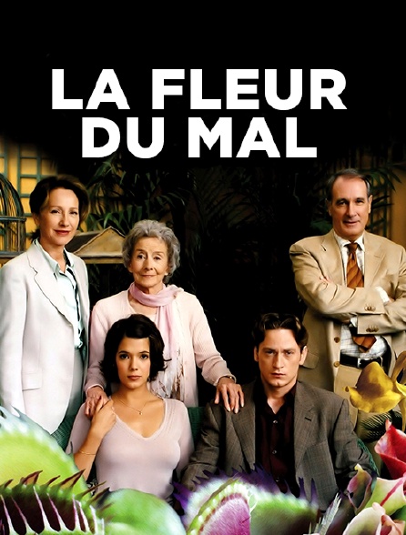 La fleur du mal en Streaming - Molotov.tv