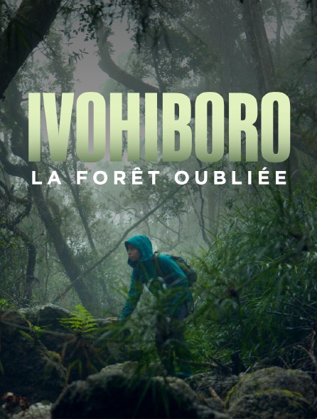 Ivohiboro, la forêt oubliée