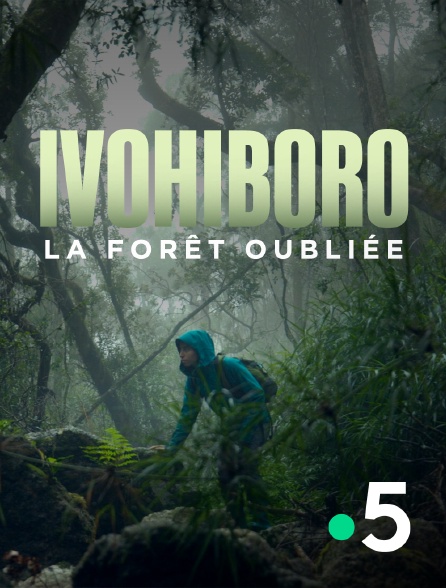 France 5 - Ivohiboro, la forêt oubliée en replay