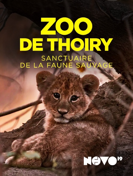 NOVO19 - Zoo de Thoiry : sanctuaire de la faune sauvage