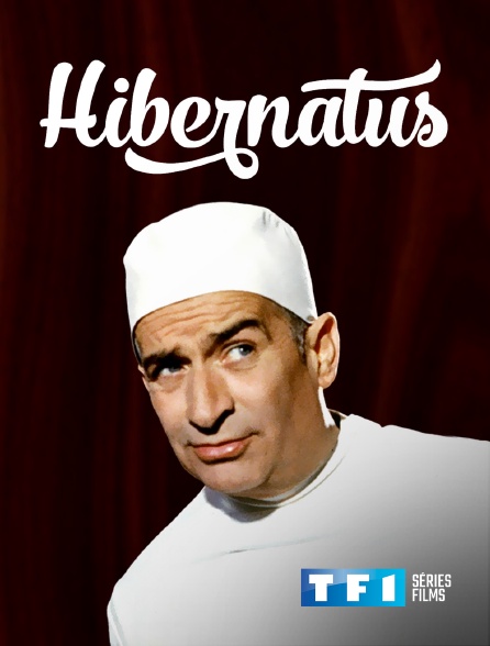 TF1 Séries Films - Hibernatus
