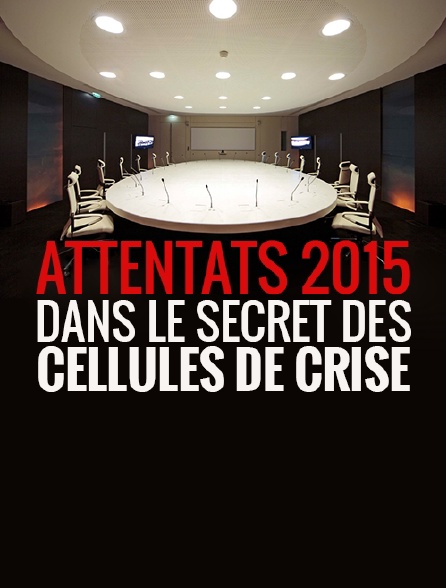 Attentats 2015 : dans le secret des cellules de crise