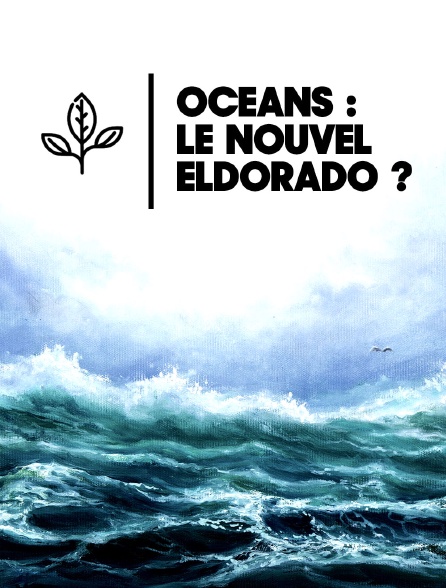 Océans : le nouvel Eldorado ?