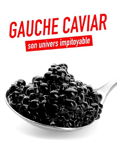 Gauche caviar, son univers impitoyable en Streaming - Molotov.tv