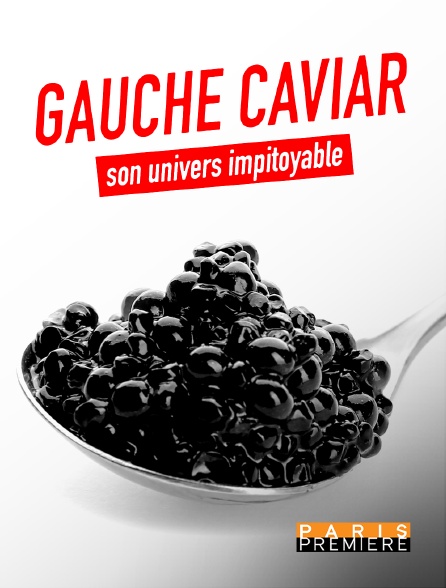 Paris Première - Gauche caviar, son univers impitoyable
