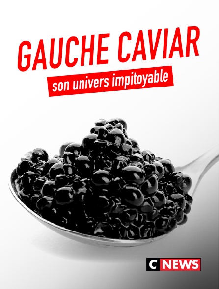 CNEWS - Gauche caviar, son univers impitoyable