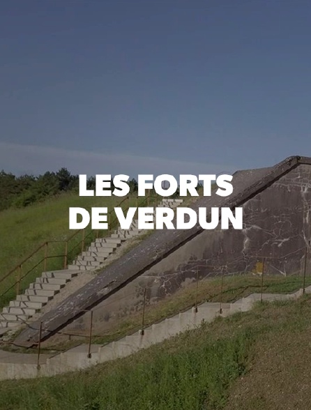 Les forts de Verdun