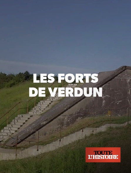 Toute l'Histoire - Les forts de Verdun