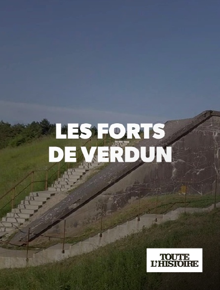 Toute l'Histoire - Les forts de Verdun