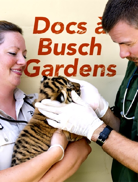 Docs à Busch Gardens