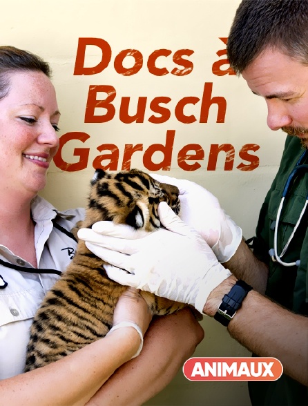 Animaux - Docs à Busch Gardens
