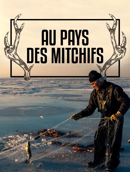 Au pays des Mitchifs