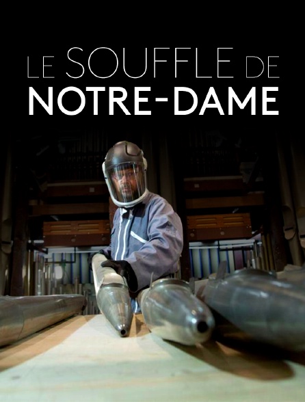 Le souffle de Notre-Dame