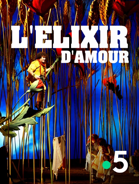 France 5 - L'Elixir d'amour