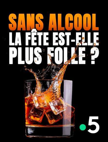 France 5 - Sans alcool, la fête est-elle plus folle ?