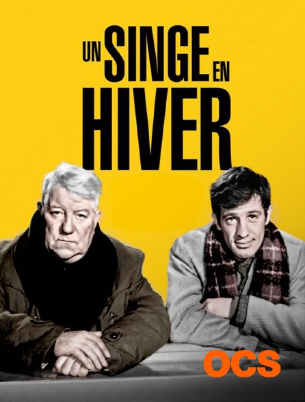OCS - Un singe en hiver