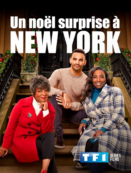 TF1 Séries Films - Un Noël surprise à New York