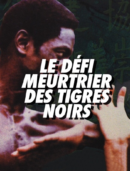 Le défi meurtrier des tigres noirs