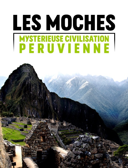 Les Moches, mystérieuse civilisation péruvienne