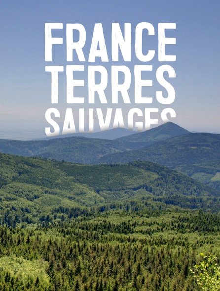 France terres sauvages : la forêt