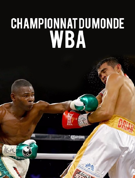 Boxe - Championnat du monde WBA