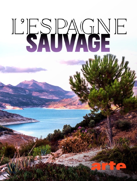 Arte - L'Espagne sauvage